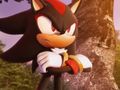 File:Xbox-ShadowtheHedgehog-Opening Final-1.mp4