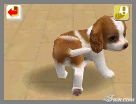 NintendogsFebruary2005Screenshot15.jpg