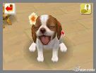 NintendogsFebruary2005Screenshot20.jpg