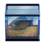 DnM64 Carp Furniture Model.png