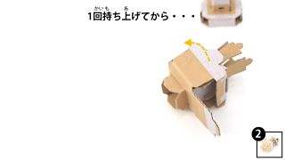 Nintendo-Labo-Var-Proto-HusMain 0635 JPja.JPG