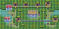 PKMNRS-Fortree City xls.png