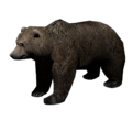 AlanWake Bear.png