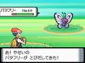 PKMNDP Jun06 MaleButterfree.jpg