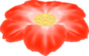 Pikmin2Flower.png