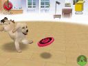 NintendogsJanuary2005Screenshot13.jpg