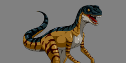 Velociraptor