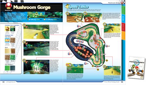 MKWii Prima Guide Mushroom Gorge.jpg