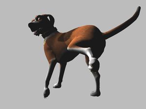 LIFTLEG4-DogsLife.JPG