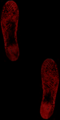 CSDS-RitualStandard blood foot01.png