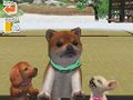 NTD nintendogs 0223 a1.jpg