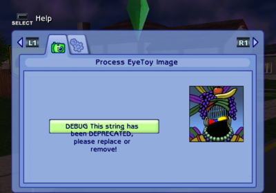 Sims2PS2-M420 EyeToy-Done.png