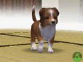 NintendogsMarch14-2005Screenshot22.jpg