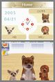 Ds Nintendogs ss 02.jpg