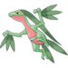 PkmnRS 0253Grovyle.png