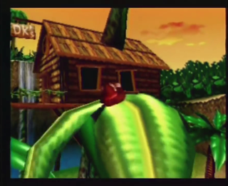 DK64 prerel LedgeVine.png