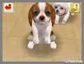 NintendogsFebruary2005Screenshot17.jpg