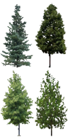 MKWii Unused DS Twilight House Trees.png