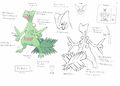 PKMNRS Sceptile Concept Art.jpg